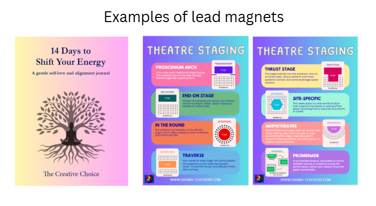 Examples of lead magnets used in marketing funnels